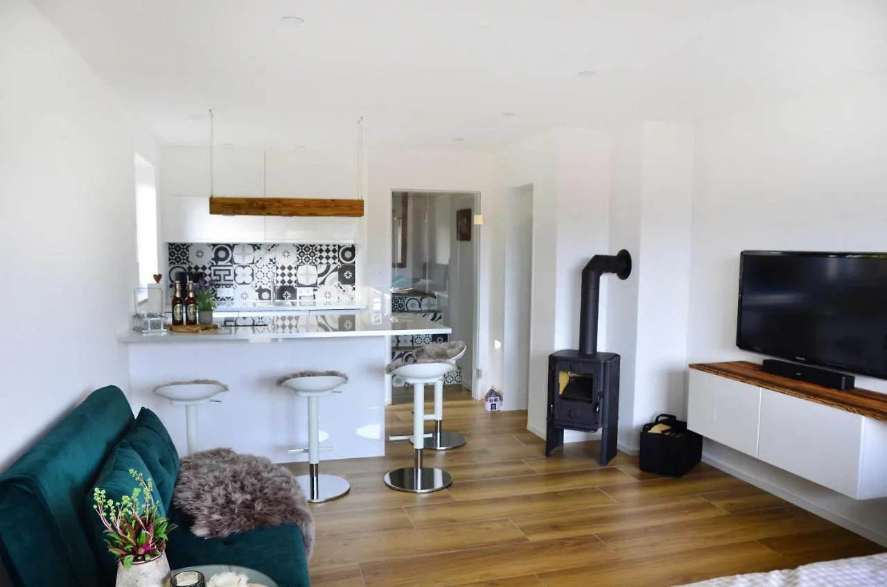 Konz Ferienwohnung Inkl Sauna Oberreute Γερμανία